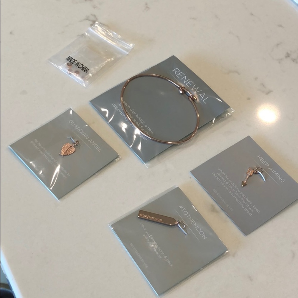 Origami Owl Rose Gold Core bracelet with charms